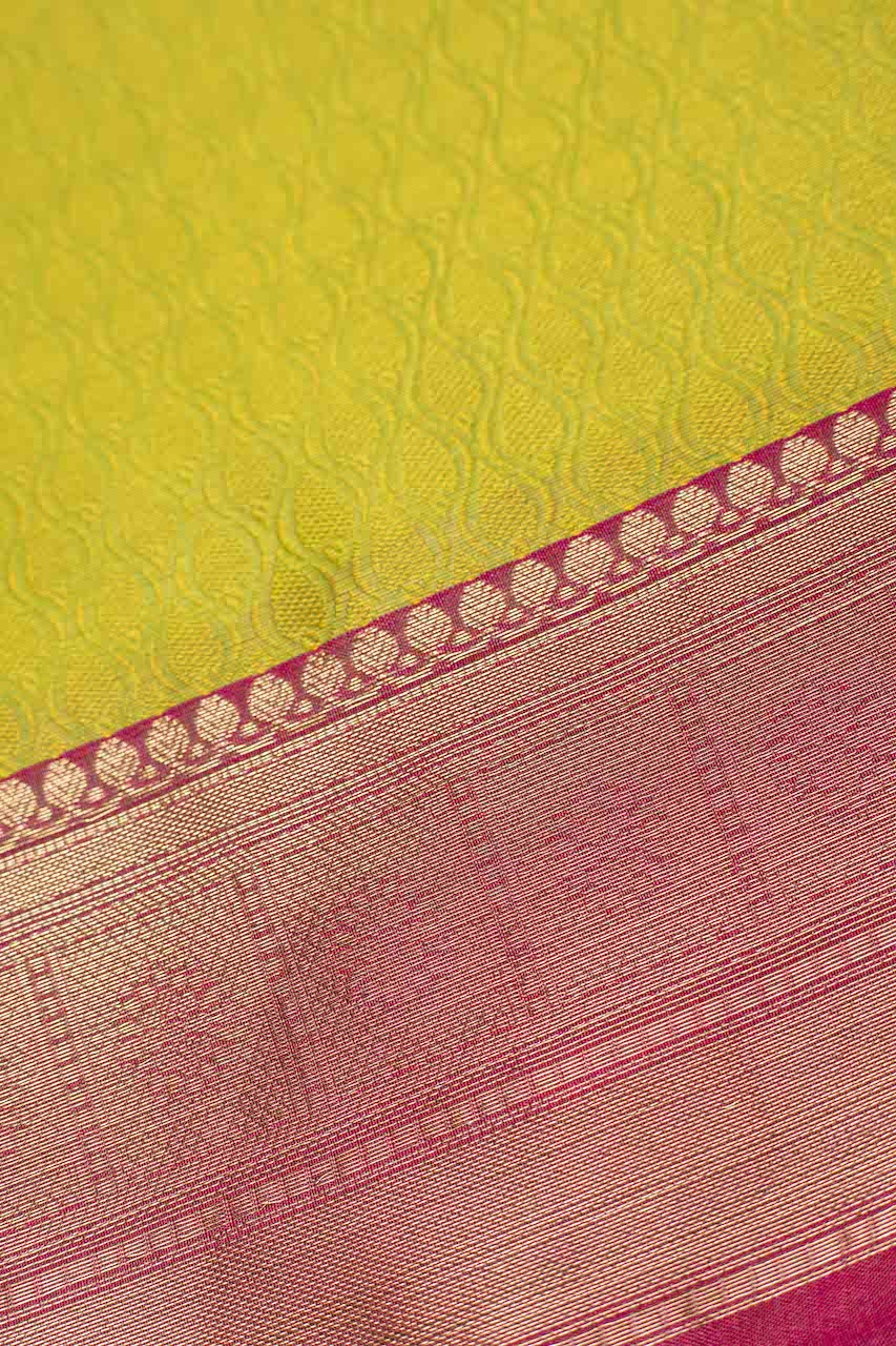 Neon Green & Pink Kora Muslin Saree