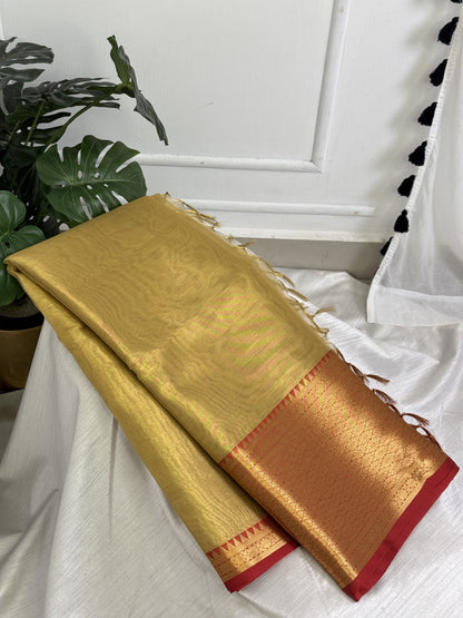 Golden Red Tissue Saree with Work Blouse Combo