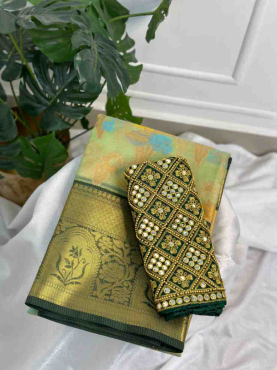 Light Green Tissue Saree with Work Blouse Combo